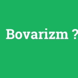 Bovarizm