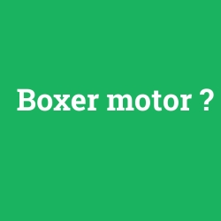 Boxer motor