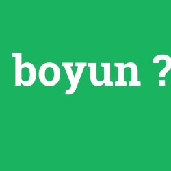 boyun