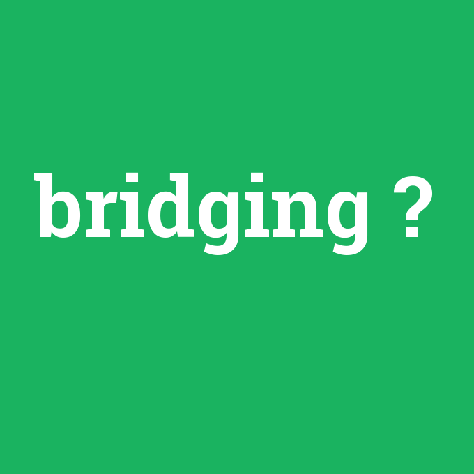 bridging, bridging nedir ,bridging ne demek