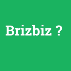 Brizbiz