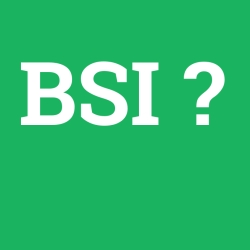 BSI