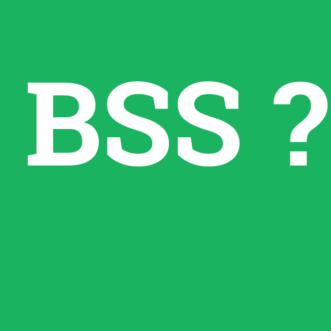 BSS, BSS nedir ,BSS ne demek
