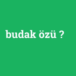 budak özü