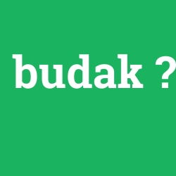 budak