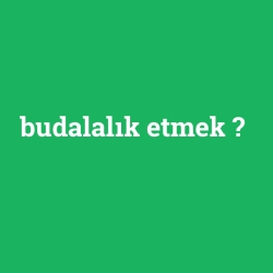 budalalık etmek foto galeri