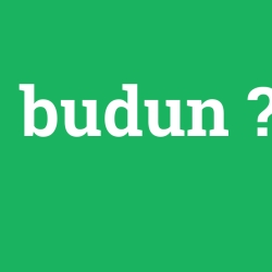 budun