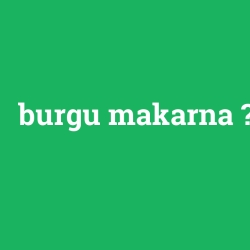 burgu makarna