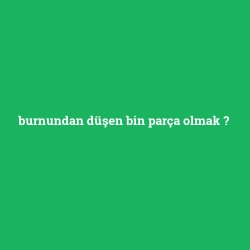 burnundan düşen bin parça olmak