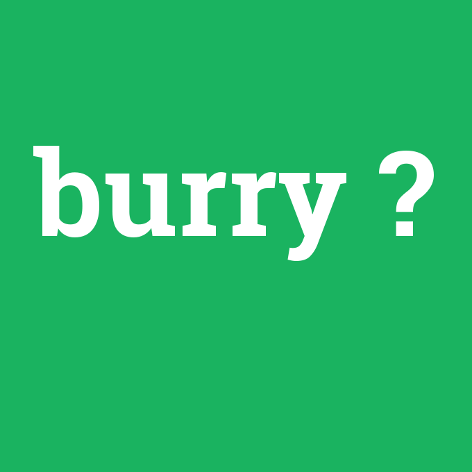 burry, burry nedir ,burry ne demek