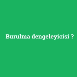 Burulma dengeleyicisi
