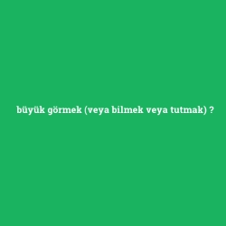 büyük görmek (veya bilmek veya tutmak)