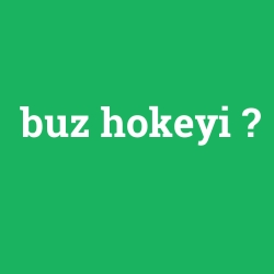 buz hokeyi