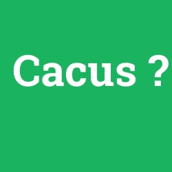 Cacus