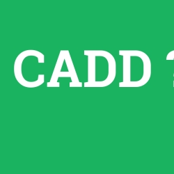 CADD