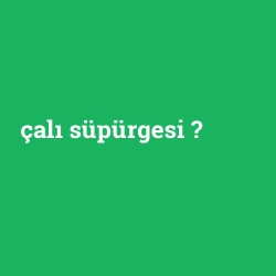 çalı süpürgesi
