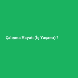 Çalışma Hayatı (İş Yaşamı)