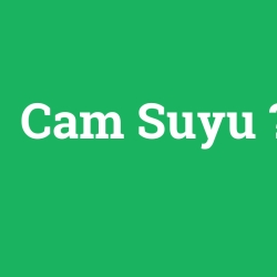 Cam Suyu