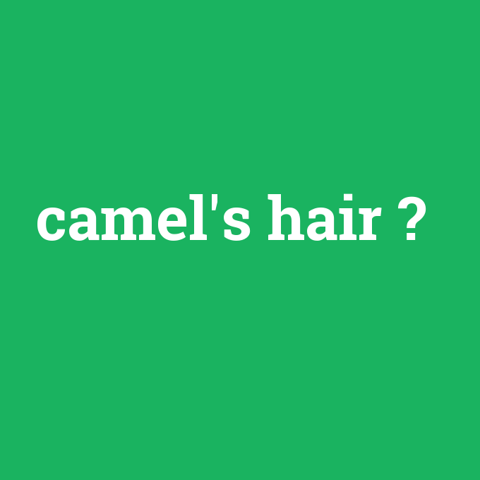 camel's hair, camel's hair nedir ,camel's hair ne demek
