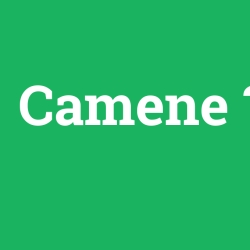 Camene