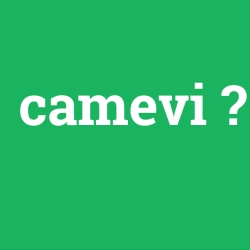 camevi