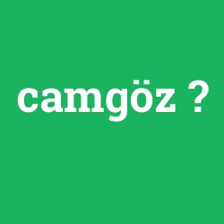 camgöz