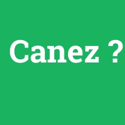 Canez