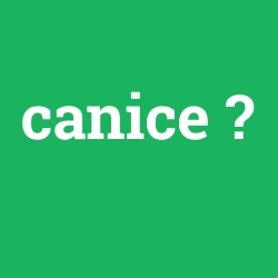 canice