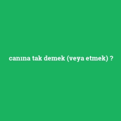 canına tak demek (veya etmek)