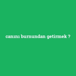 canını burnundan getirmek