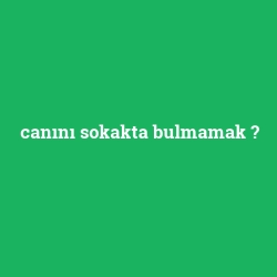 canını sokakta bulmamak