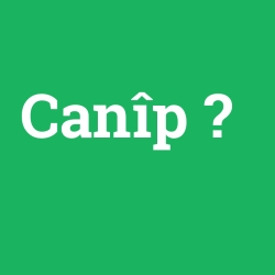Canîp