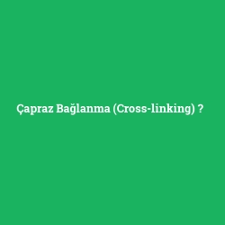 Çapraz Bağlanma (Cross-linking)
