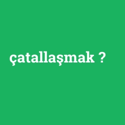 çatallaşmak