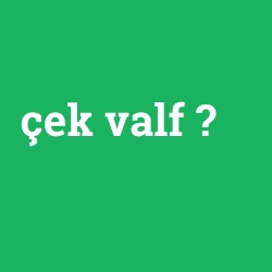 çek valf