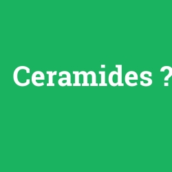 Ceramides foto galeri