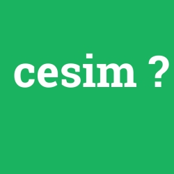 cesim