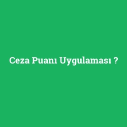 Ceza Puanı Uygulaması