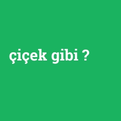 çiçek gibi