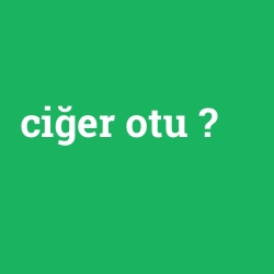 ciğer otu