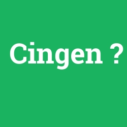 Cingen