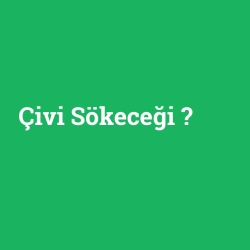 Çivi Sökeceği