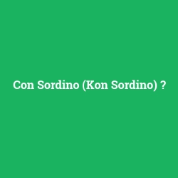 Con Sordino (Kon Sordino)