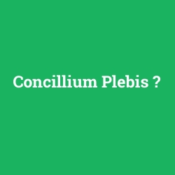Concillium Plebis