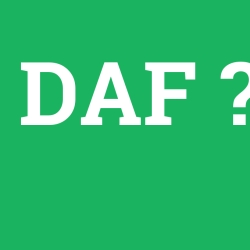 DAF foto galeri