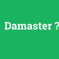 Damaster foto galeri