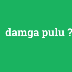 damga pulu
