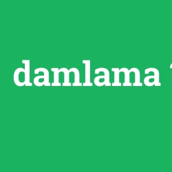 damlama