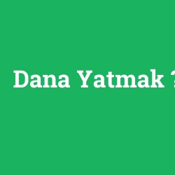 Dana Yatmak foto galeri