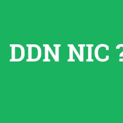 DDN NIC